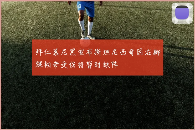 拜仁慕尼黑宣布斯坦尼西奇因右脚踝韧带受伤将暂时缺阵