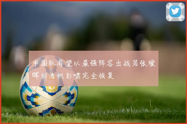 中国队有望以最强阵容出战若张瑷晖刘浩帆彭啸完全恢复