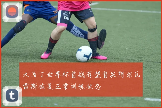大马丁世界杯首战有望首发阿尔瓦雷斯恢复正常训练状态